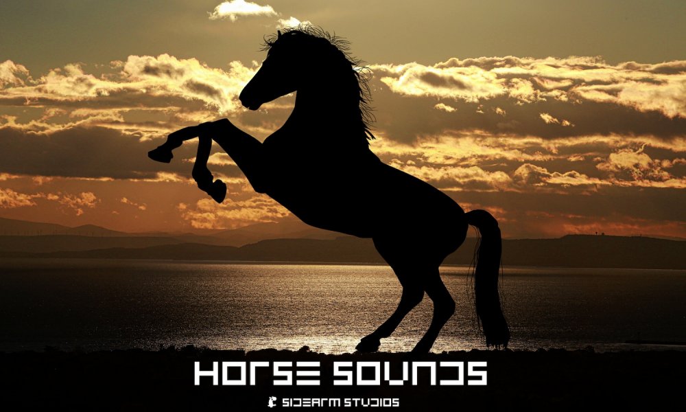 Horse Sound Pro