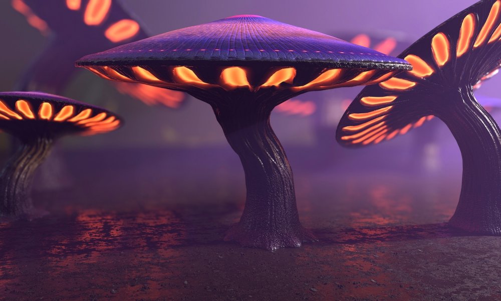 Fantasy Mushrooms Collection