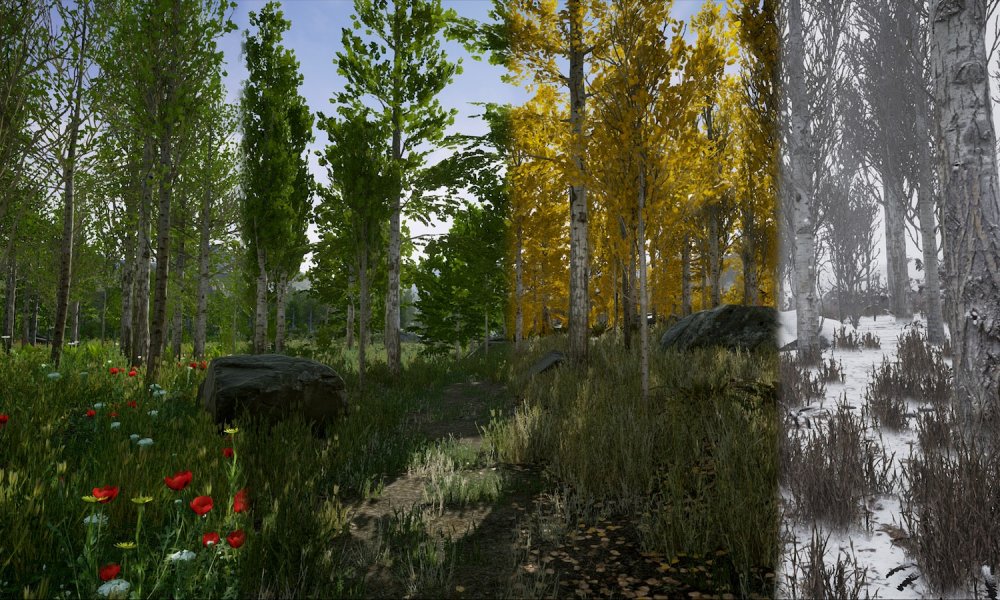 Scanned Poplar and Aspen Forest with Seasons