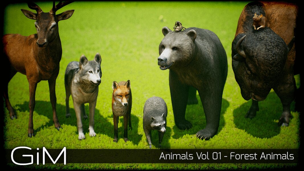 Animals Vol 01: Forest Animals