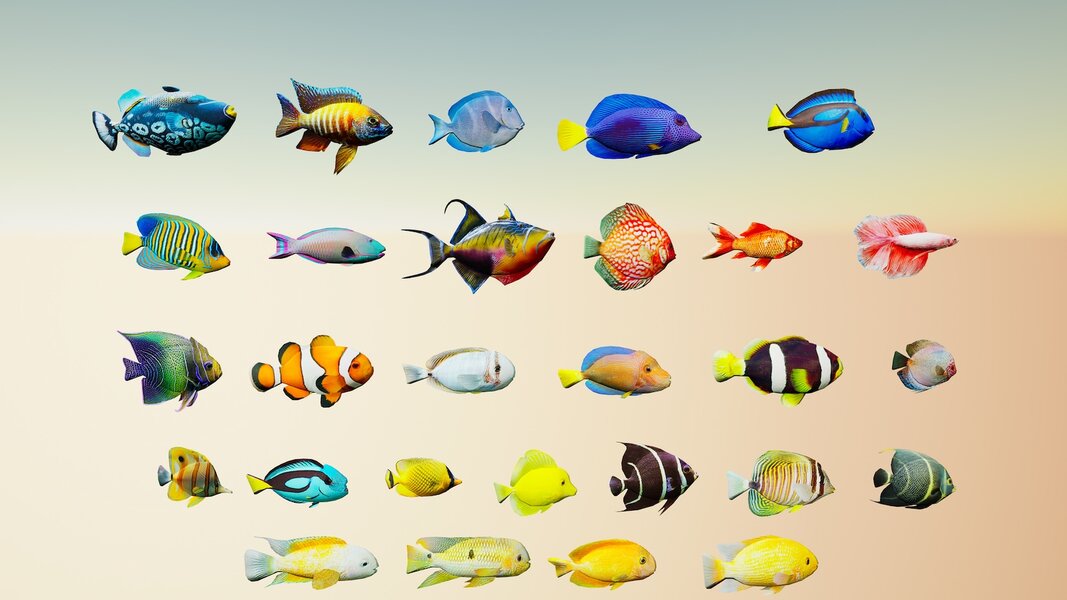 Tropical Fish