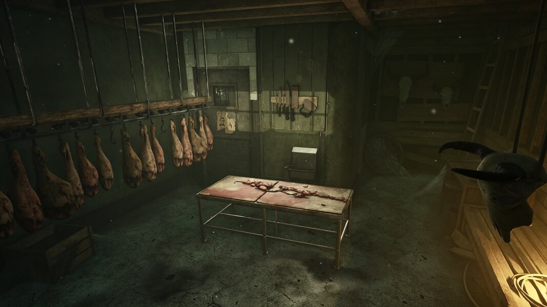 Western Horror Basement