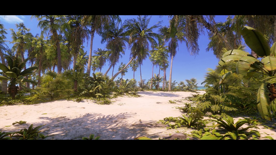 Tropical Foliage and Landscape