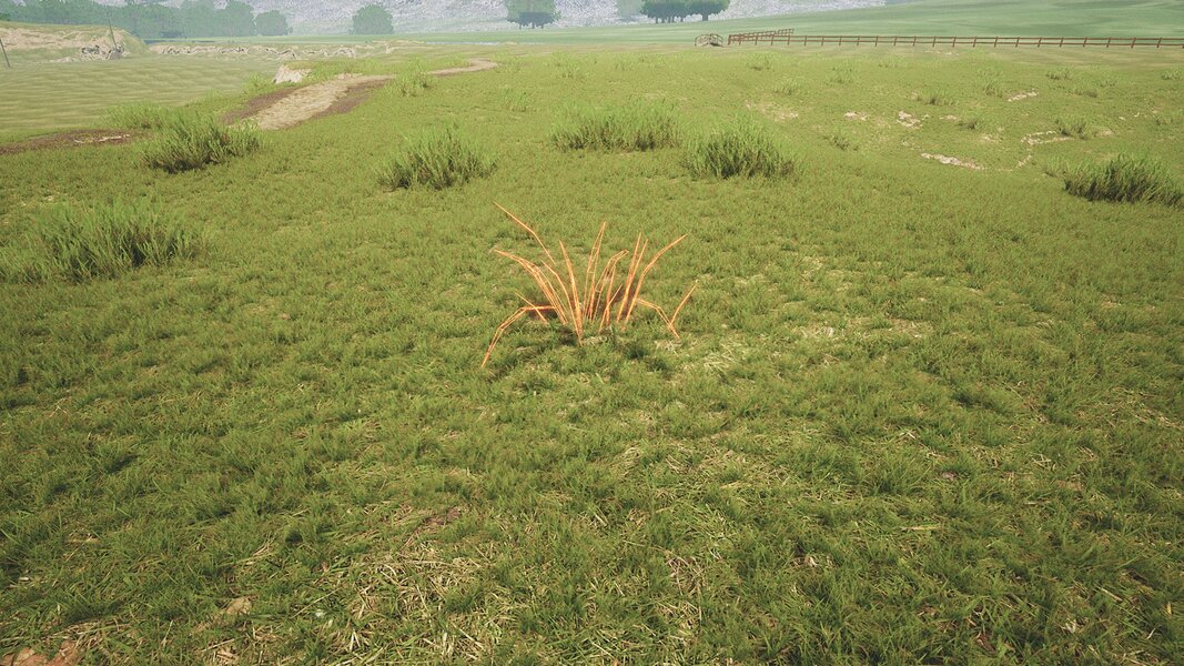 Procedural Growing Plants