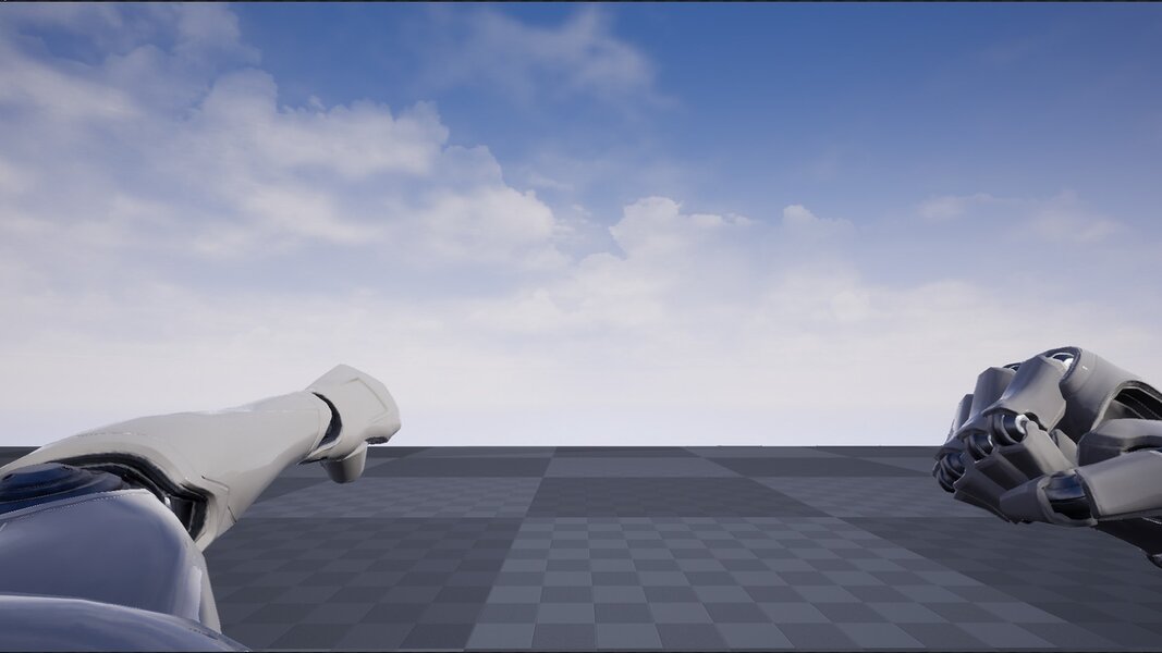 First Person Combat Fists